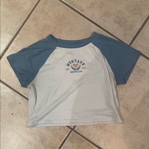 Purple and white size small crop top